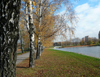 Similar image 22379034