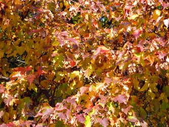 Similar image 22379047