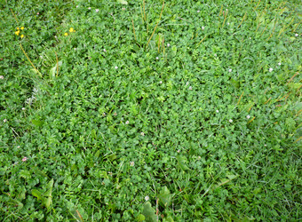 Similar image 22379064