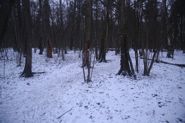 Similar image 22375036