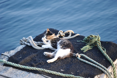 Similar image 22375558