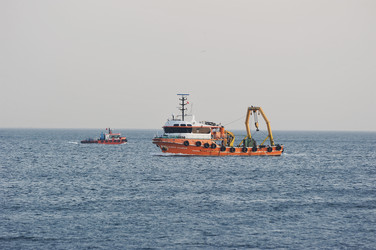 Similar image 22375572