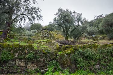 Similar image 22365418