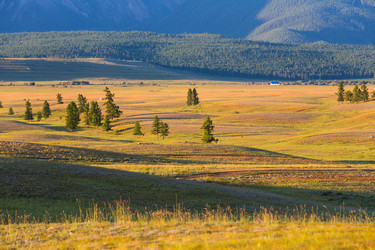 Similar image 22365419