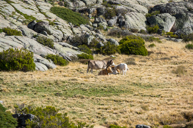 Similar image 22365540