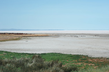 Similar image 22375510