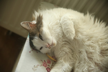 Similar image 22375393