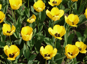 Similar image 22378760