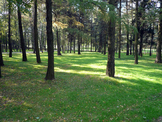 Similar image 22378774