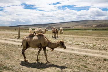 Similar image 22365269