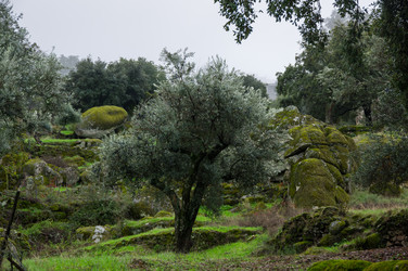 Similar image 22365496