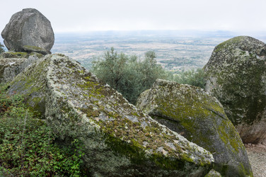 Similar image 22365528