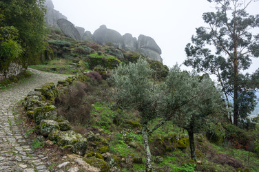 Similar image 22365541