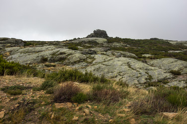 Similar image 22365572