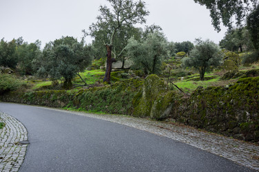 Similar image 22371963