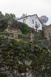 Similar image 22371977