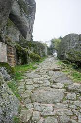 Similar image 22372007