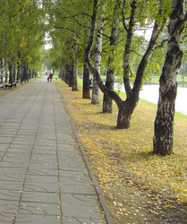 Similar image 22380938