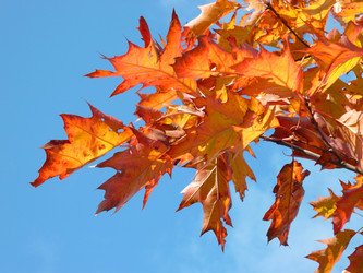 Similar image 22380939