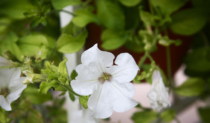 Similar image 22375305