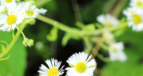 Similar image 22375306