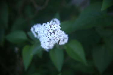 Similar image 22375307