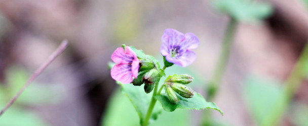 Similar image 22375335