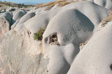 Similar image 22376585