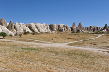 Similar image 22375491