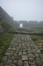 Similar image 22365514