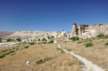 Similar image 22375511