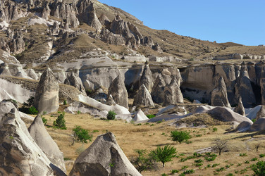 Similar image 22375544