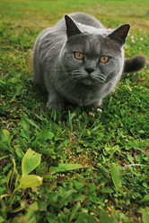 Similar image 22375575