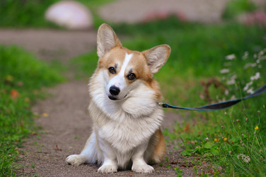 Similar image 22375578