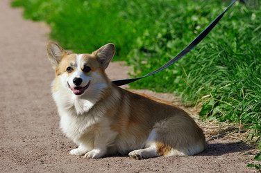 Similar image 22375591