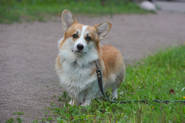 Similar image 22375593