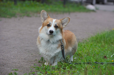 Similar image 22375594