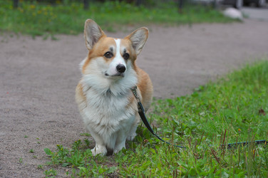 Similar image 22375608