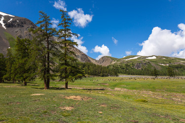 Similar image 22365272