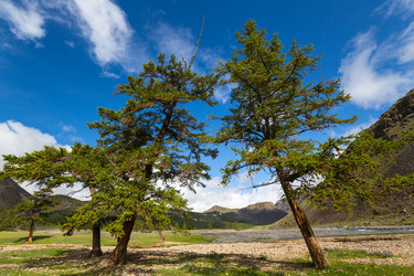 Similar image 22365273