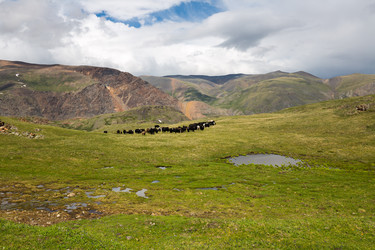 Similar image 22365406