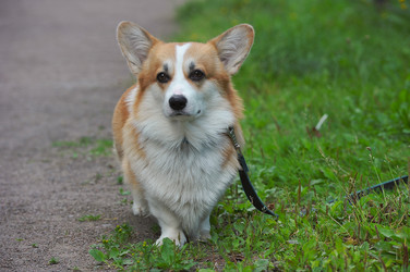 Similar image 22376430