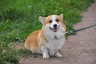 Similar image 22376441