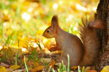 Similar image 22376475