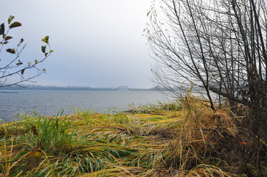 Similar image 22376480