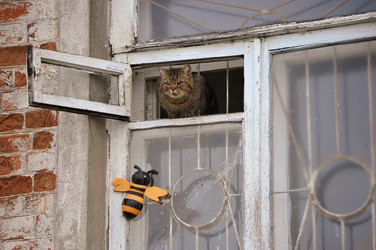 Similar image 22376486