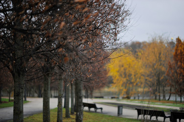 Similar image 22376489