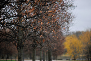 Similar image 22376494