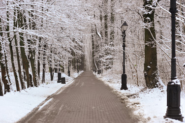 Similar image 22376495