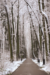 Similar image 22376496